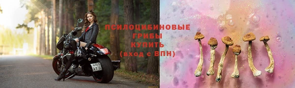 apvp Беломорск