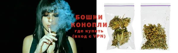 соль ск Белокуриха