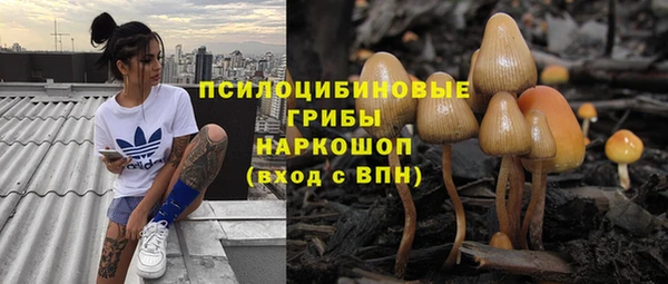 соль ск Белокуриха
