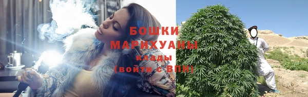 соль ск Белокуриха